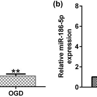 LncRNA WT1 AS Negatively Regulates MiR 186 5p Expression Levels In