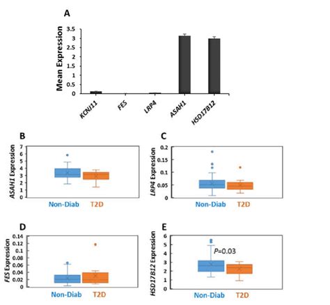 Gene Expression In Human Pancreatic Islets A Rna Seq Mean Expression