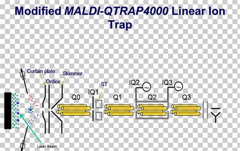 Quadrupole Ion Trap Mass Spectrometry Quadrupole Mass Analyzer Linear Ion Trap PNG, Clipart ...