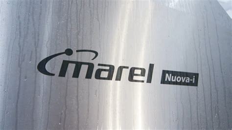 marel nuova  intelligent evisceration management youtube