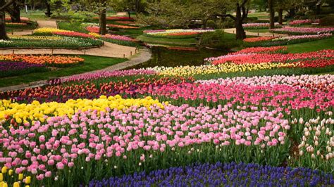 Beautiful Spring Flower Garden Images | Best Flower Site