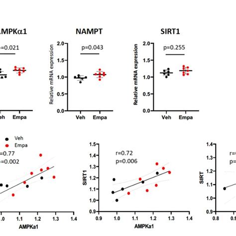 Effects Of Empagliflozin On The Expression Of Transcription Factors And