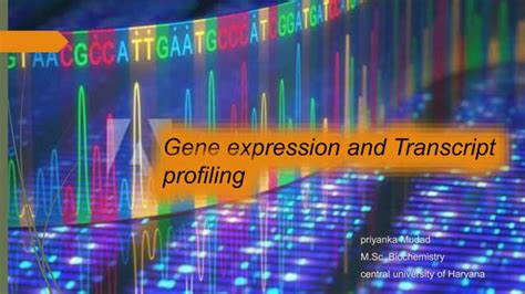 Gene Expression Profiling Ppt