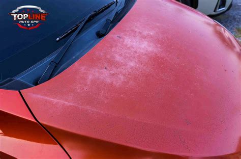 All About Sprinkler Water Damage Car Paint: Causes & Prevention