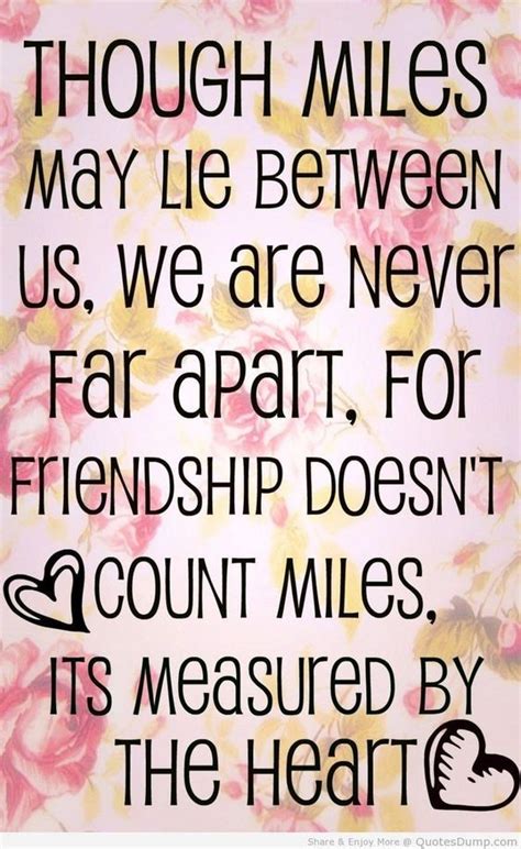 Top 30 Best Friend Quotes Friendship Quotes