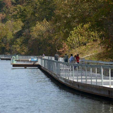 A Serene Getaway at Lake Atalanta Park - Julie Wolfe