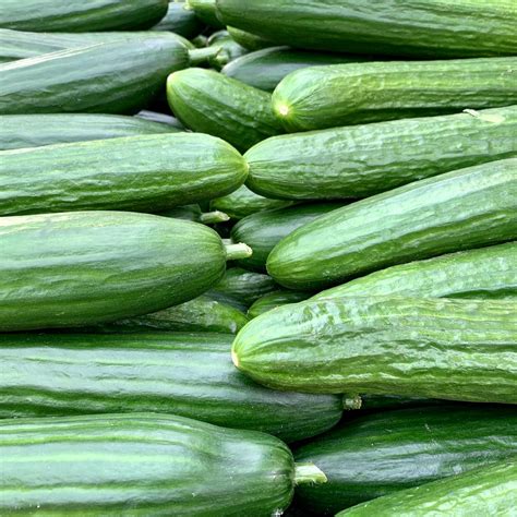 Cucumber Each Familier