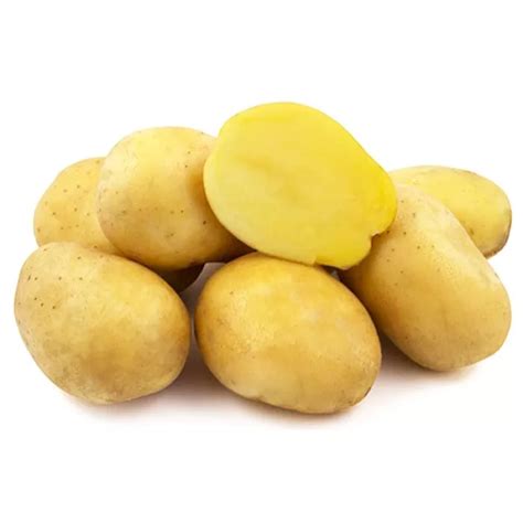 Семенной Картофель на посадку купить в Украине ≋ Веснодар ≋