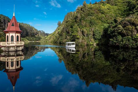 zealandia-wellington - NZ Travel Organiser