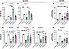 JCI IgE Neutralizing UB 221 MAb Distinct From Omalizumab And