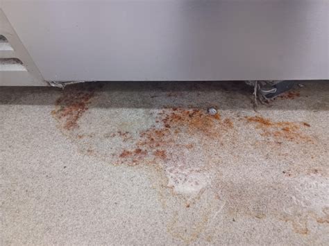 What is this Nasty Red Stuff?? : r/Mold