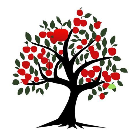 Premium Vector Apple Tree Vector Illustration On A Pure White Background