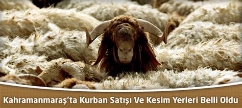 Kahramanmaraşta Kurban Satışı Ve Kesim Yerleri Belli Oldu