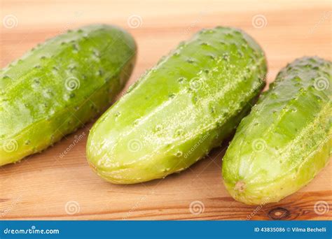 Fresh Gherkin Stock Photo Image Of Plant Small Crop 43835086