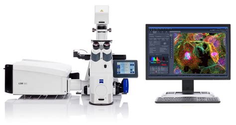 New Confocal Microscope At The Biomedical Microscopy Core Center For