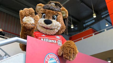 Bayerns Maskottchen Esel Sepp Berni Bazi Und Neuzugang Mia