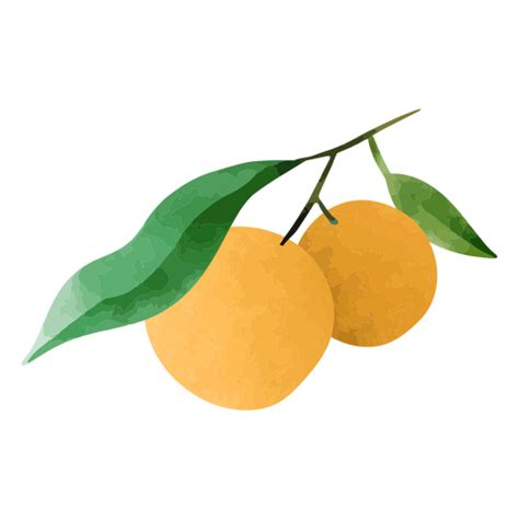 Pair Of Oranges And Leaves Textured Png And Svg Design For T Shirts