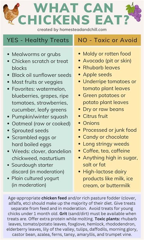 Best 12 What Foods Can Chickens Eat? – Artofit