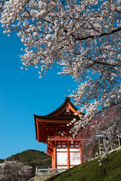 Spring In Kyotojapan Wonderful Places Beautiful Waterfalls