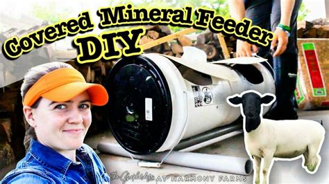 Diy Covered Mineral Feeder For Sheep The Shepherdess