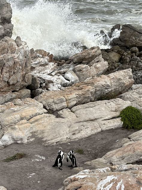 Guide to the stops and services on the stony point line 15