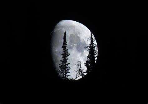 Magical Moonlight Photograph by Wanderbird Photographi LLC - Fine Art ...