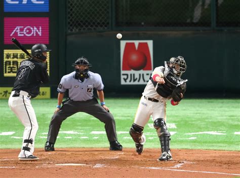 待ちに待ちに待ったプロ野球開幕／6試合写真ライブ プロ野球ライブ速報写真ニュース 日刊スポーツ