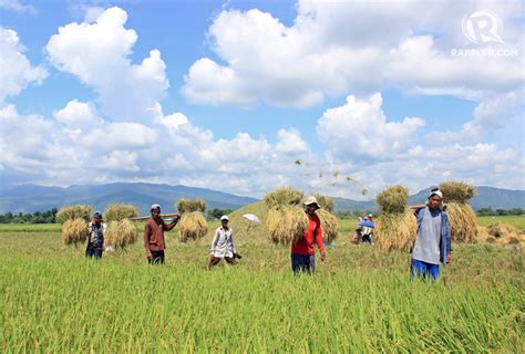 Importance Of Philippine Agriculture