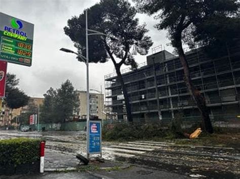 Danni Del Maltempo Alberi Caduti E Disagi