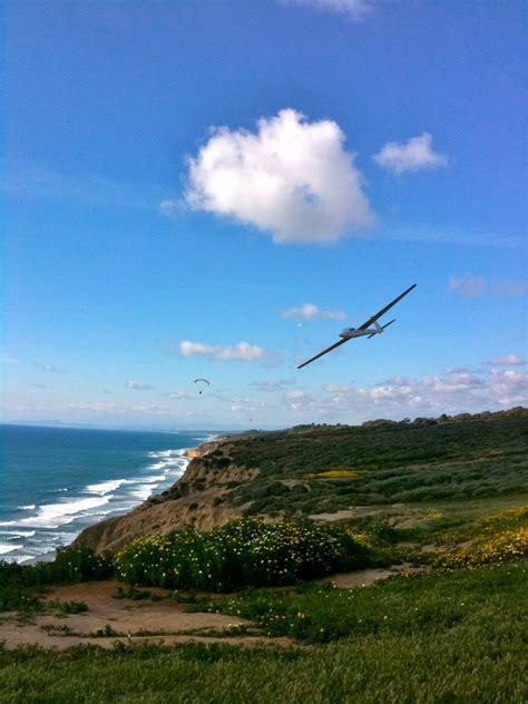 Picture Torrey Pines Gulls