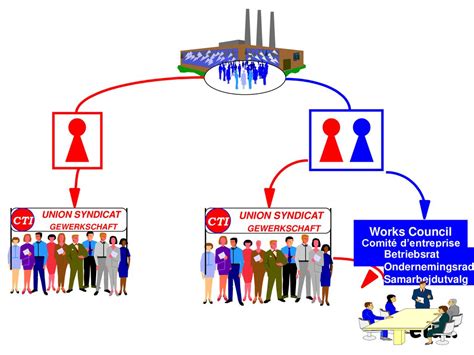 Workers Representation Systems In Europe Ppt Herunterladen