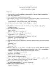 Amber Anatomy And Physiology Study Guide Docx Anatomy And