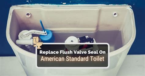 How To Replace A Toilet Flush Valve Seal In Minutes Toilet Haven