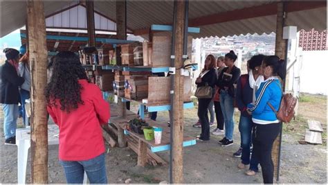 Educação ambiental IFSULDEMINAS Campus Pocos