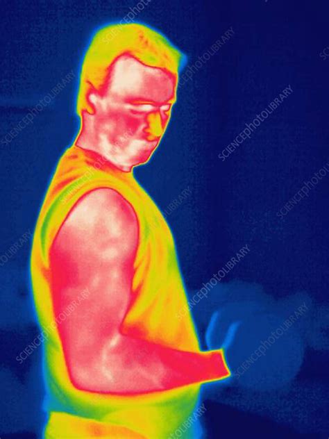 A Thermogram Of A Weight Lifter Stock Image P Science