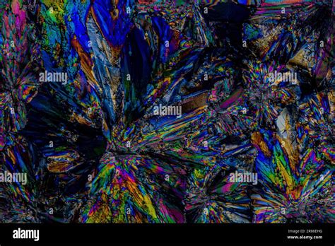 Sugar Crystals Photographed With Polarized Light At Great Magnification