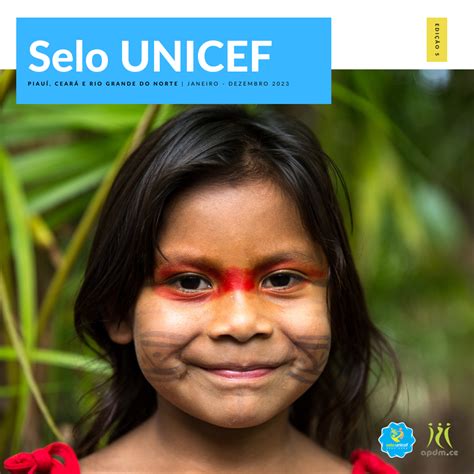 Selo Unicef Apdmce Lan A Informativo Balan O Sobre Busca Ativa