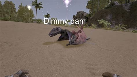 Dimmy Dam Rark