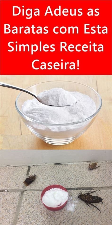 Diga Adeus As Baratas Esta Simples Receita Caseira