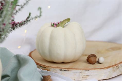 Diy Anleitung Vase Aus K Rbis Einfach Selber Machen Herbstdeko