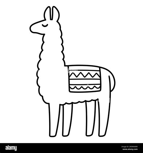 Simple Cartoon Llama Drawing Black And White Line Icon Cute Vector