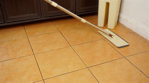 Cleaning Bathroom Floor Tiles With Vinegar Flooring Guide By Cinvex