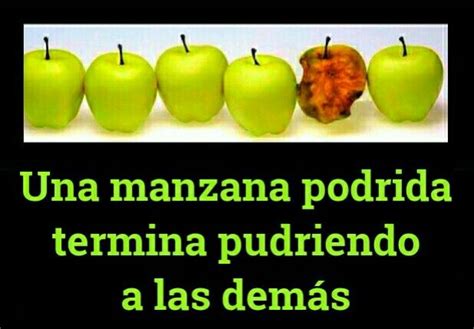 Frases Con Manzana Estudiar