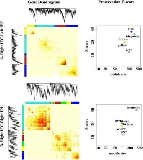 Genetic Modules The First Column Shows The WGCNA Gene Dendrogram For