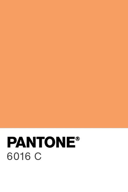 PANTONE® España | PANTONE® 6016 C - Find a Pantone Color | Quick Online ...