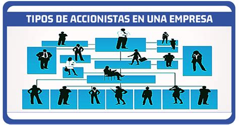 Tipos De Accionistas En Una Empresa Contador Profesional