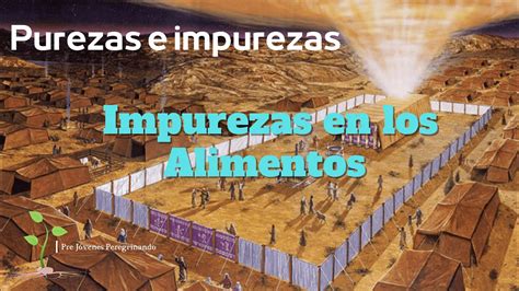 Impurezas En Los Alimentos YouTube