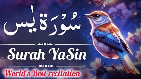 Surah Yasin Yaseen Full With Arabic Beautiful recitation سورہ یس Quran