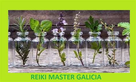 Reiki Master Galicia Comunidad 20 Plantas Que Se Pueden Cultivar En