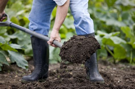 Easy Composting: The Dig and Drop Method